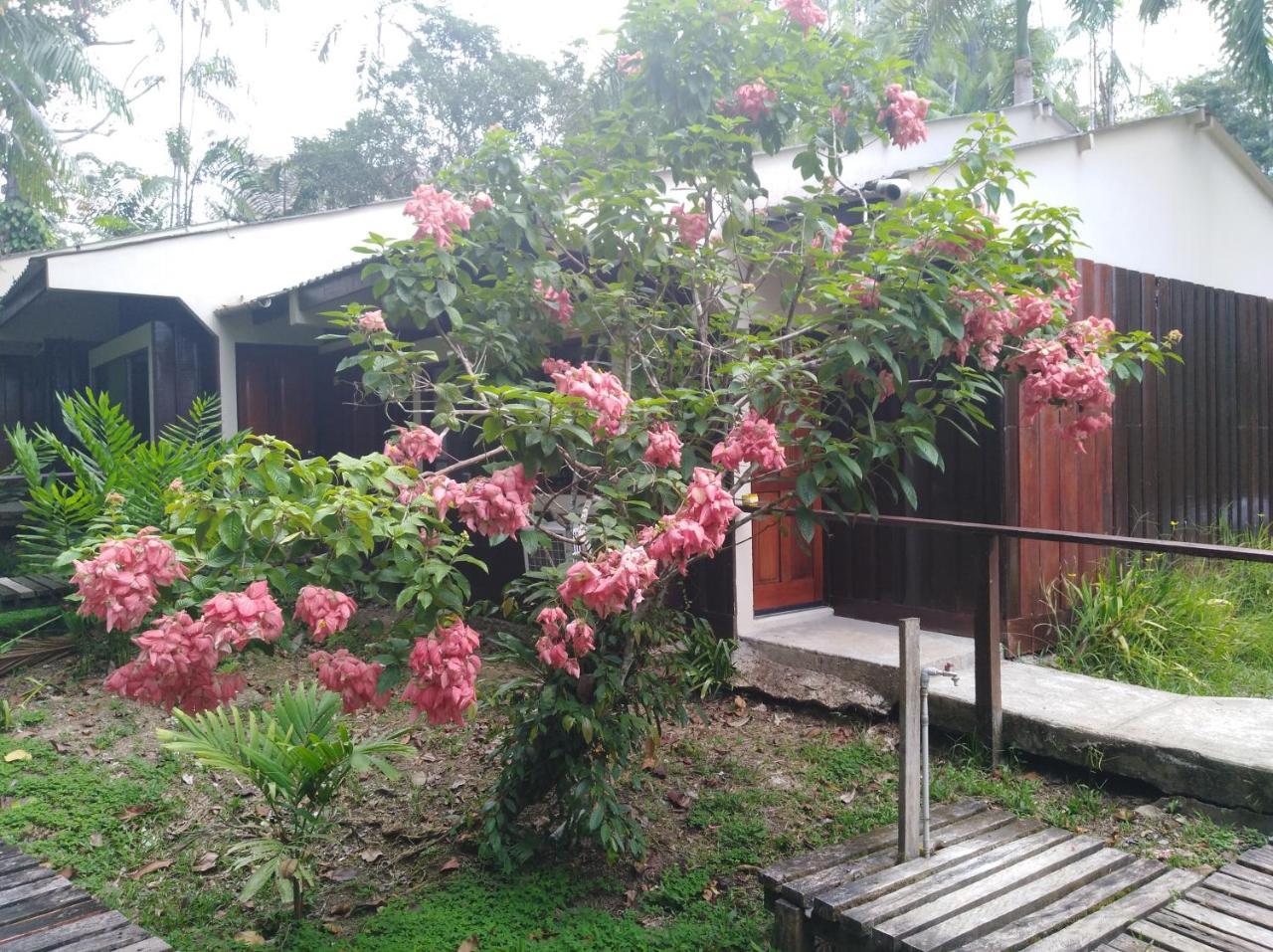 Ceiba Tops Santa Teresa  Exterior photo